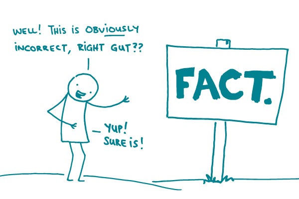 Illustration of gut reactions to health information